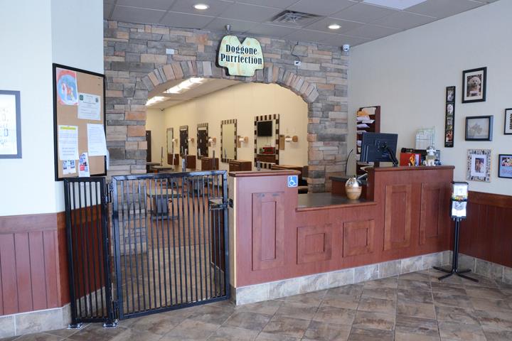 Doggone Purr Fection Pet Grooming Orland Park Il Photos