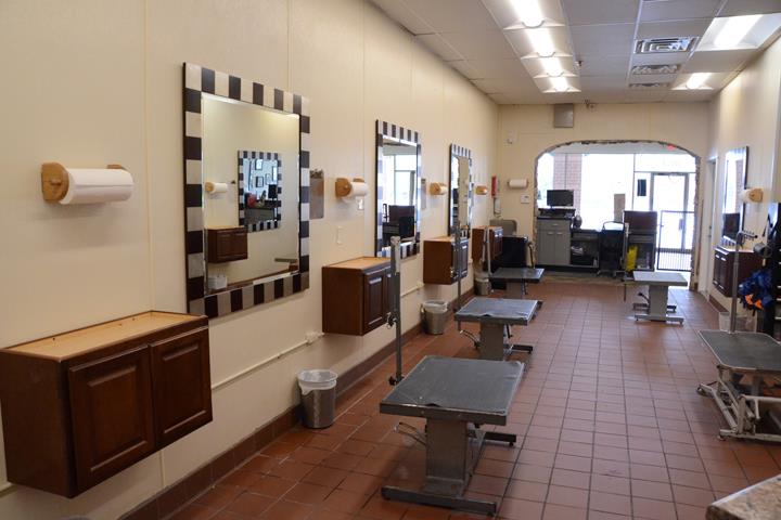 Doggone Purr Fection Pet Grooming Orland Park Il Photos